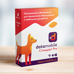 ПО DataMobile, версия Стандарт Pro в Липецке